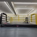 스타복싱클럽 이미지