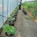 황금휴게실 이미지