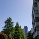 반포사랑공인중개사사무소 이미지