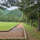 다리안 황토길 이미지