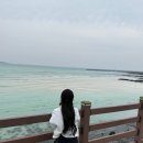 제주 모임하우스 | 제주 공항 근처 도보 이동 가능한 감성 숙소 파티,조식포함 2인실 ‘숨’ 게스트하우스 후기