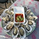 등대하우스 | 오이도 빨강등대 난전시장 숭어 석화 1월 2월 가격 후기