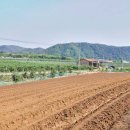 경북부동산중개사무소 이미지