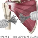 염한의원 이미지