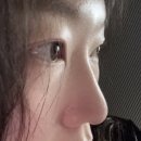 [대전, 유성] 원신흥동 속눈썹 펌, 뷰티바이홍