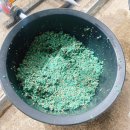 연곡낚시터 | 양주 연곡낚시터 5인 방갈로 후기 손맛제대로보는곳