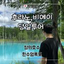 삿포로 비에이 여행 청의호수(아오이이케) 포토존 / 흰수염 폭포 풍경 후기