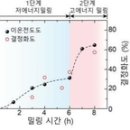 KIST “ ’미래 배터리‘ 전고체전지 전해질 상온 제조 기술 개발” 이미지