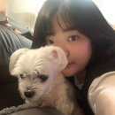 7월 둘째주. 온 몸이 쑤신다.(feat.대학 MT, 가지솥밥, 행복주택, 회기 이모네 왕 파전, 대성리역)