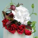 웅진한우 이미지