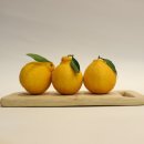 석희농장 이미지