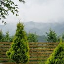 펜션33.3 이미지