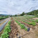 퇴곡1리 이미지