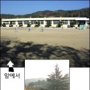 양남초 상계분교 이미지