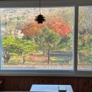 어느날성주 | [충남/보령]어느날 성주:내돈내산 보령 독채 숙소 후기