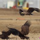 성보수리 이미지