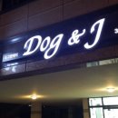 도그앤 제이 이미지