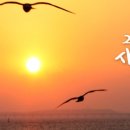 키클소아청소년과의원 이미지