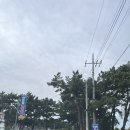 태안마검포아름뜰캠핑장 바다뷰사이트 급예약 후기