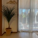 하도민박 이미지