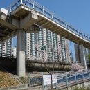 금천구청 이미지