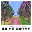 제주특별자치도 농업기술원 | 제주 서쪽 가볼만한곳 4월 제주여행 1박2일 코스 BEST5