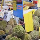 두리얀푸드 이미지