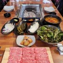 육박사 이미지