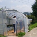 대절농장 이미지