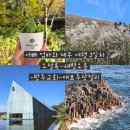 표선교회 | 제주] 엄마 아빠와 제주 여행 3일차 - 오설록, 새별오름, 방주교회, 대포주상절리, 천지연폭포, 해비치호텔