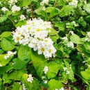 창천목장 이미지