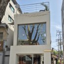 라르티스타 이미지