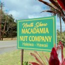 쇼어컴퍼니 이미지