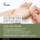 레푸스 영통점 이미지