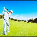 필드로 실내 골프 연습장 이미지