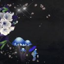 복지행정사 이미지