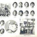 신갈초등학교 이미지