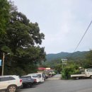 초평단골집좌대 네이버블로그