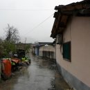 수동초등학교 이미지