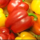 화순농장 이미지