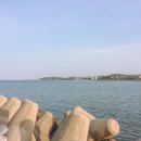 물치수산