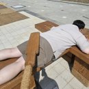 전망대, 화개산 모노레일, 교동도 스카이워크 전망대, 모노레일 평일 대기시간, 화개 정원 방문 후기