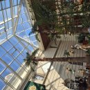 블랙스톤 | 명품 구장 '이천 블랙스톤' 솔직 후기: 루브르 박물관에서 백돌이 리셋한 썰