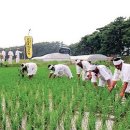 만석지기 - 서구 군분2로 5 | 만석지기