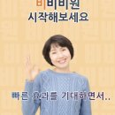 비원가발