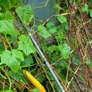 초계농장 이미지