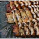 삼거리연잎장어 이미지