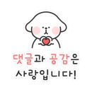 바르다김선생대정