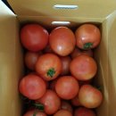 화광농장 이미지