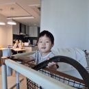 +2032일&amp; +1135일.2026.6.13. 토요일 이미지